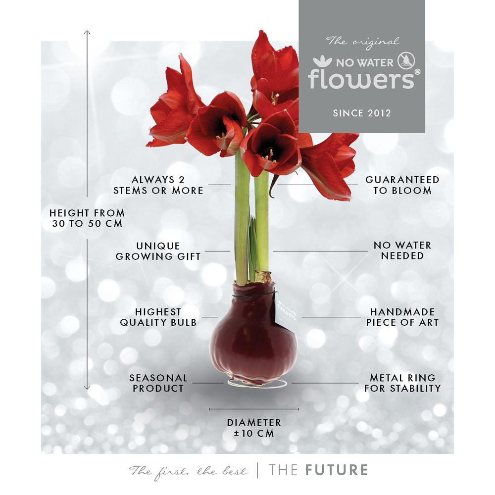 No Water Flowers® - Formz classic, In carry bag, Pastel paars
